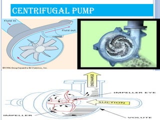 CENTRIfUgAL PUMP
 