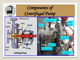 18
Components of
Centrifugal Pump
 