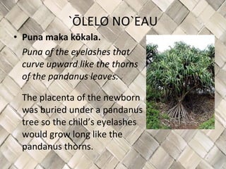 Puna Chart Puna | PPT