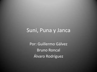 Suni, Puna y Janca

 Por: Guillermo Gálvez
     Bruno Roncal
   Álvaro Rodríguez
 
