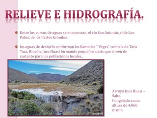 Entre los cursos de aguas se encuentran, el río San Antonio, el de Los
Patos, de los Pastos Grandes,
las aguas de deshielo conforman las llamadas " Vegas" como la de Taca -
Taca, Rincón, Inca Huasi formando pequeños oasis que sirven de
sustento para las poblaciones locales..
Arroyo Inca Huasi –
Salta.
Congelado a una
altura de 4.060
msnm
 