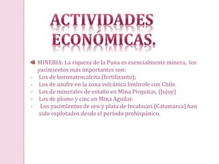 MINERIA: La riqueza de la Puna es esencialmente minera, los
yacimientos más importantes son:
- Los de boronatrocalcita (fertilizante);
- Los de azufre en la zona volcánica limítrofe con Chile.
- Los de minerales de estaño en Mina Pirquitas, (Jujuy)
- Los de plomo y cinc en Mina Aguilar.
- Los yacimientos de oro y plata de Incahuasi (Catamarca) han
sido explotados desde el período prehispánico.
 