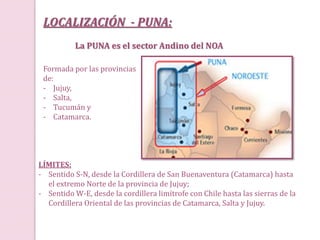 LOCALIZACIÓN - PUNA:
La PUNA es el sector Andino del NOA
LÍMITES:
- Sentido S-N, desde la Cordillera de San Buenaventura (Catamarca) hasta
el extremo Norte de la provincia de Jujuy;
- Sentido W-E, desde la cordillera limítrofe con Chile hasta las sierras de la
Cordillera Oriental de las provincias de Catamarca, Salta y Jujuy.
Formada por las provincias
de:
- Jujuy,
- Salta,
- Tucumán y
- Catamarca.
 