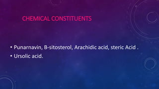 CHEMICAL CONSTITUENTS
• Punarnavin, B-sitosterol, Arachidic acid, steric Acid .
• Ursolic acid.
 