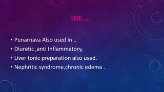 USE.....
• Punarnava Also used in ..
• Diuretic ,anti Inflammatory,
• Liver tonic preparation also used.
• Nephritic syndrome,chronic edema .
 