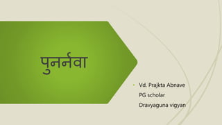 • Vd. Prajkta Abnave
PG scholar
Dravyaguna vigyan
पुनननवा
 