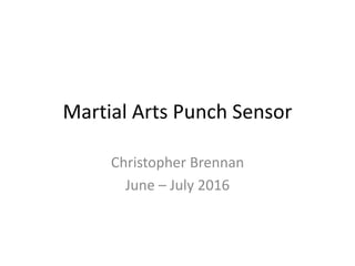 Martial Arts Punch Sensor
Christopher Brennan
June – July 2016
 
