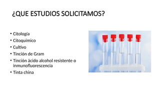 ¿QUE ESTUDIOS SOLICITAMOS?
• Citología
• Citoquímico
• Cultivo
• Tinción de Gram
• Tinción ácido alcohol resistente o
inmunofluorescencia
• Tinta china
 