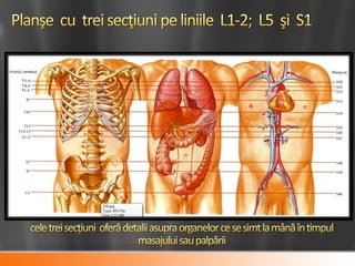 Puncte dureroase pe abdomen mai  2016