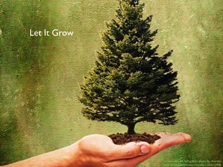 Let It Grow




              cc licensed ( BY NC ) ﬂickr photo by chiaralily:
              http://ﬂickr.com/photos/chiaralily/5183672498/
 