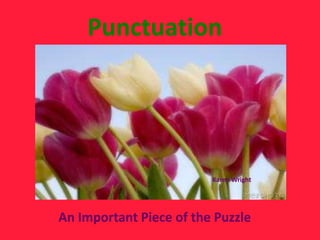 Punctuation




                         Karen Wright




An Important Piece of the Puzzle
 