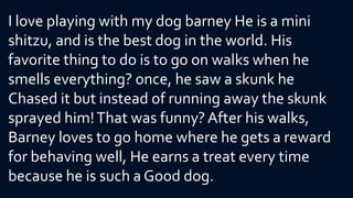 I love playing with my dog barney He is a mini
shitzu, and is the best dog in the world. His
favorite thing to do is to go on walks when he
smells everything? once, he saw a skunk he
Chased it but instead of running away the skunk
sprayed him!That was funny?After his walks,
Barney loves to go home where he gets a reward
for behaving well, He earns a treat every time
because he is such a Good dog.
 