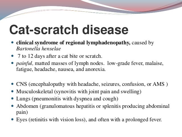 Cat Scratch Fever Nausea Cat Scratch Fever Nausea