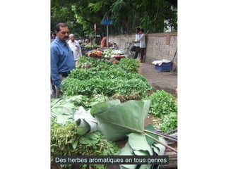 Des herbes aromatiques en tous genres 