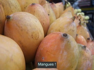 Mangues ! 