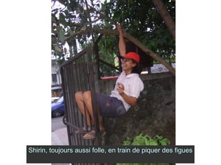 Shirin, toujours aussi folle, en train de piquer des figues 