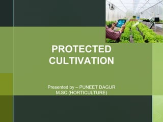 PROTECTED
CULTIVATION
Presented by – PUNEET DAGUR
M.SC (HORTICULTURE)
 