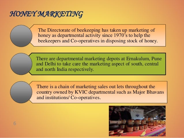 overview of honey marketing in india