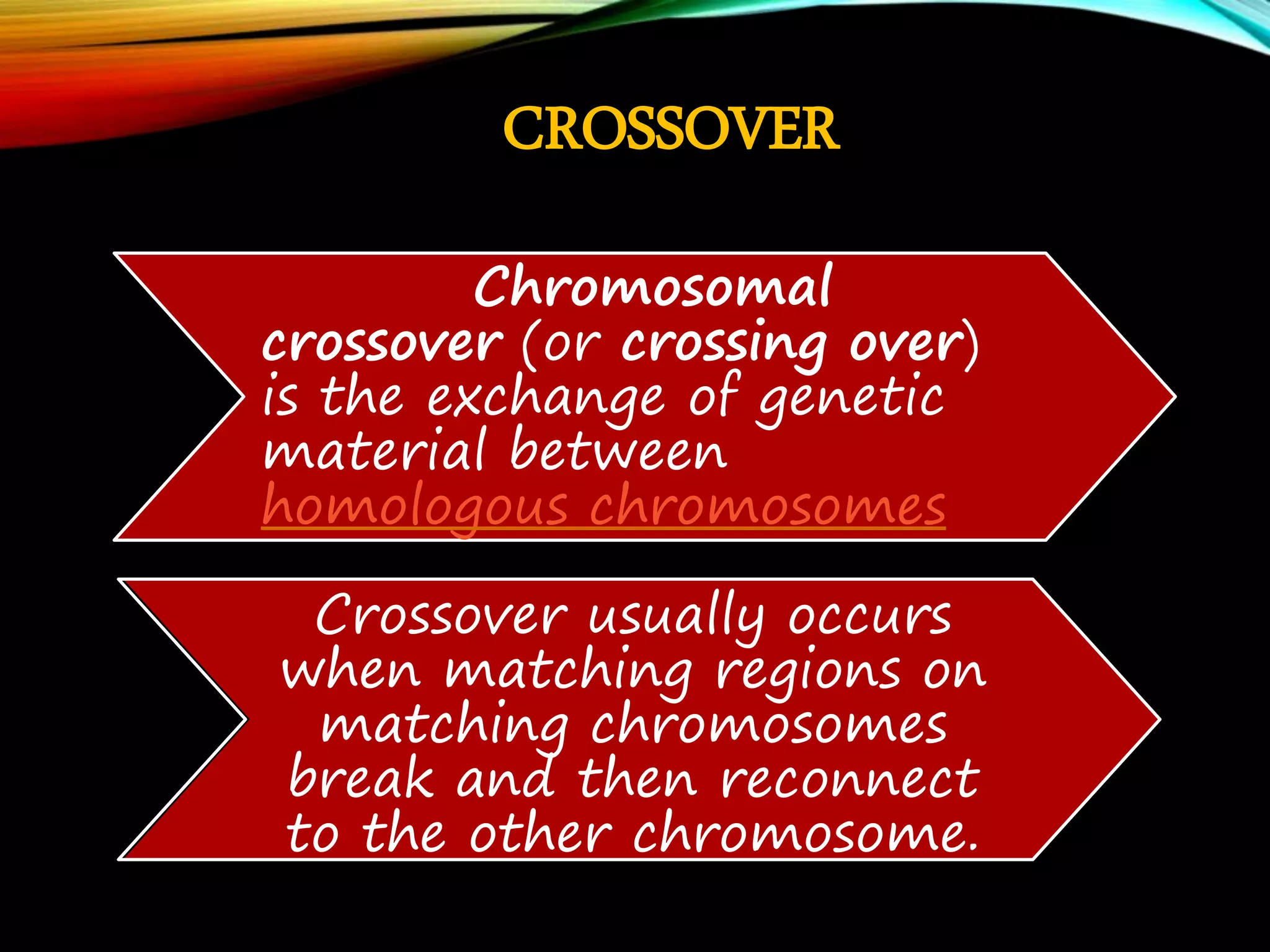 CROSSOVER Chromosomal crossover (or crossing over) is the exchange of genetic material between homologous chromosomes Crossover usually occurs when matching regions on matching chromosomes break and then reconnect to the other chromosome. 