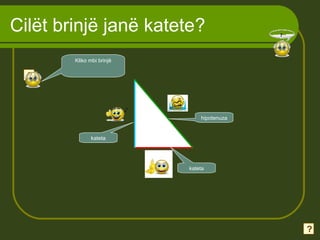 Cilët brinjë janë katete?
kateta
kateta
hipotenuza
?
Kliko mbi brinjë
?
 