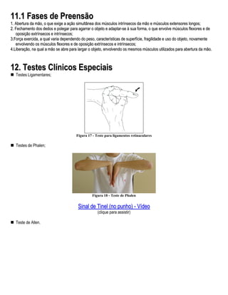 11.1 Fases de Preensão
1. Abertura da mão, o que exige a ação simultânea dos músculos intrínsecos da mão e músculos extensores longos;
2. Fechamento dos dedos e polegar para agarrar o objeto e adaptar-se à sua forma, o que envolve músculos flexores e de
   oposição extrínsecos e intrínsecos;
3.Força exercida, a qual varia dependendo do peso, características de superfície, fragilidade e uso do objeto, novamente
   envolvendo os músculos flexores e de oposição extrínsecos e intrínsecos;
4.Liberação, na qual a mão se abre para largar o objeto, envolvendo os mesmos músculos utilizados para abertura da mão.



12. Testes Clínicos Especiais
   Testes Ligamentares;




                                       Figura 17 - Teste para ligamentos retinaculares

   Testes de Phalen;




                                                Figura 18 - Teste de Phalen


                                        Sinal de Tinel (no punho) - Vídeo
                                                    (clique para assistir)

   Teste de Allen.
 