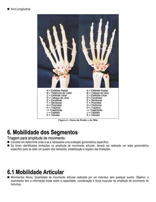 Arco Longitudinal.




                                        Figura 4 - Ossos do Punho e da Mão




6. Mobilidade dos Segmentos
Triagem para amplitude de movimento:
  Consiste em determinar onde e se é necessária uma avaliação goniométrica específica;
  Se forem identificadas limitações na amplitude de movimento articular, deverá ser realizado um teste goniométrico
  específico para se obter um quadro das restrições, estabilização e registro das limitações.




6.1 Mobilidade Articular
  Movimentos Ativos: Quantidade de movimento articular realizada por um indivíduo sem qualquer auxílio. Objetivo: o
  examinador tem a informação exata sobre a capacidade, coordenação e força muscular da amplitude de movimento do
  indivíduo.
 
