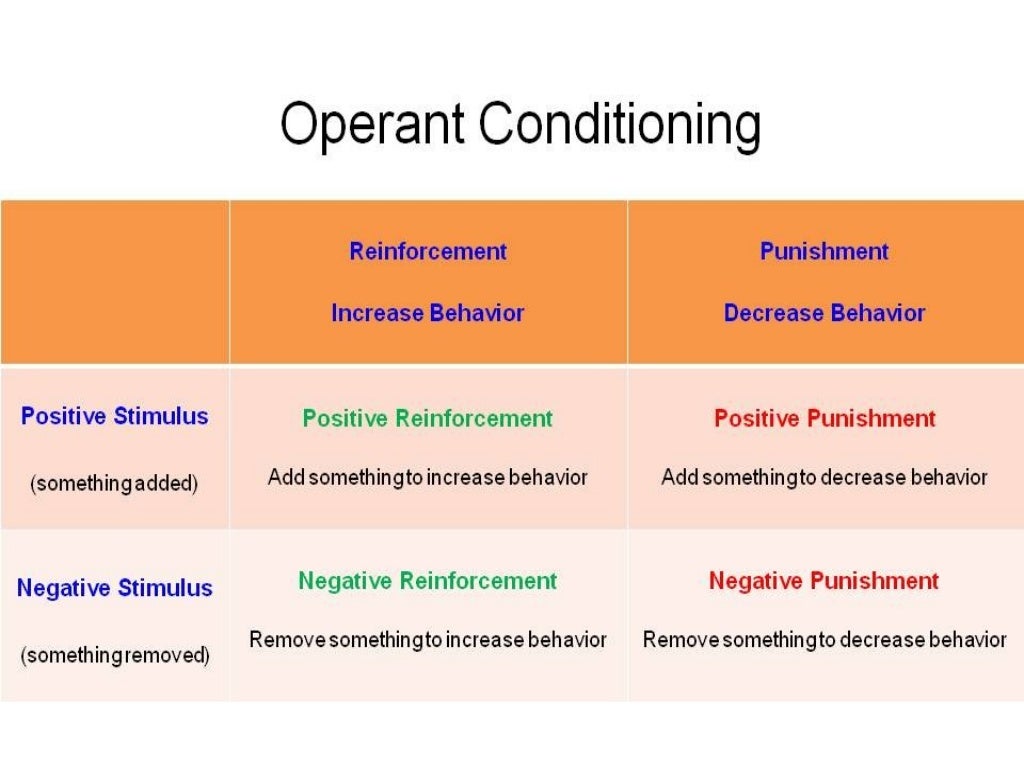 Punishment vs reinforcement in increasing work performance (1)