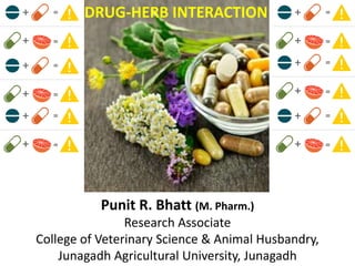 DRUG-HERB INTERACTION
Punit R. Bhatt (M. Pharm.)
Research Associate
College of Veterinary Science & Animal Husbandry,
Junagadh Agricultural University, Junagadh
 