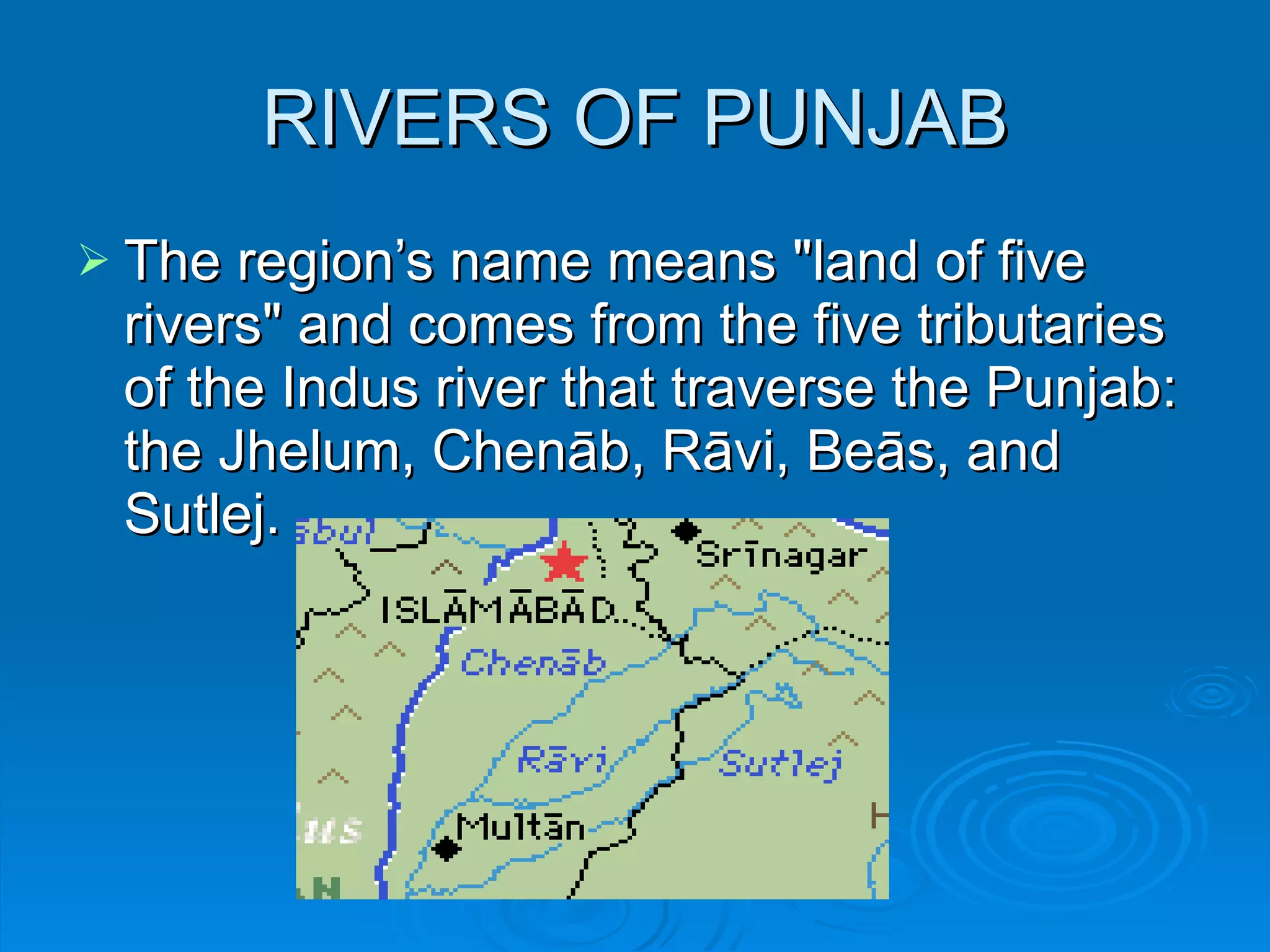PUNJAB MEANING visual data 6