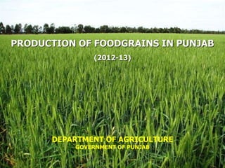 PRODUCTION OF FOODGRAINS IN PUNJAB
DEPARTMENT OF AGRICULTURE
GOVERNMENT OF PUNJAB
(2012-13)
 