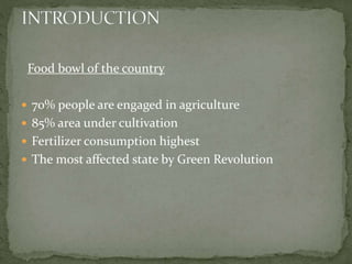 Food bowl of the country
 70% people are engaged in agriculture
 85% area under cultivation
 Fertilizer consumption highest
 The most affected state by Green Revolution
 