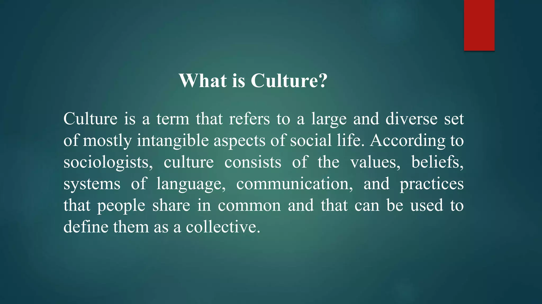 Punjab Culture.pptx