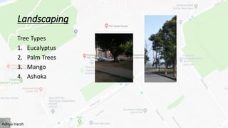 Landscaping
Tree Types
1. Eucalyptus
2. Palm Trees
3. Mango
4. Ashoka
Aditya Harsh
 