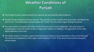 ►The Punjab Climate is determined by the extreme hot and extreme cold conditions.
►Punjab Climate comprises of three seasons. They are the summer months that spans from mid May to the
end of June. The temperature remains above 40 °C (104 °F) in the entire region during this period.
►The rainy season in Punjab is from the months of early July to end of September. The rainy season in
Punjab begins in the first weeks of July. It ranges from 250mm to 1000mm. The agriculture of the state
highly depends on the rains.
►The winter season in Punjab is experienced during the months of early December to the end of February.
The minimum temperature of the region remains below 5 °C (41 °F) for almost two months during the
winter season.
 