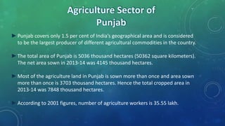 ►Punjab covers only 1.5 per cent of India’s geographical area and is considered
to be the largest producer of different agricultural commodities in the country.
►The total area of Punjab is 5036 thousand hectares (50362 square kilometers).
The net area sown in 2013-14 was 4145 thousand hectares.
►Most of the agriculture land in Punjab is sown more than once and area sown
more than once is 3703 thousand hectares. Hence the total cropped area in
2013-14 was 7848 thousand hectares.
►According to 2001 figures, number of agriculture workers is 35.55 lakh.
 