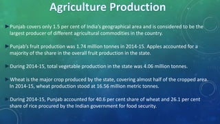 ►Punjab covers only 1.5 per cent of India’s geographical area and is considered to be the
largest producer of different agricultural commodities in the country.
►Punjab’s fruit production was 1.74 million tonnes in 2014-15. Apples accounted for a
majority of the share in the overall fruit production in the state.
►During 2014-15, total vegetable production in the state was 4.06 million tonnes.
►Wheat is the major crop produced by the state, covering almost half of the cropped area.
In 2014-15, wheat production stood at 16.56 million metric tonnes.
►During 2014-15, Punjab accounted for 40.6 per cent share of wheat and 26.1 per cent
share of rice procured by the Indian government for food security.
 