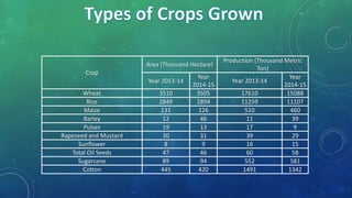 Crop
Area (Thousand Hectare)
Production (Thousand Metric
Ton)
Year 2013-14
Year
2014-15
Year 2013-14
Year
2014-15
Wheat 3510 3505 17610 15088
Rice 2849 2894 11259 11107
Maize 131 126 510 460
Barley 12 46 11 39
Pulses 19 13 17 9
Rapeseed and Mustard 30 31 39 29
Sunflower 8 9 16 15
Total Oil Seeds 47 46 60 58
Sugarcane 89 94 552 581
Cotton 445 420 1491 1342
 