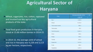 ►Wheat, sugarcane, rice, cotton, rapeseed
and mustard are key agricultural
products of the state.
►Total food grain production in Haryana
stood at 15.66 million tonnes in 2014-15.
►In 2014-15, the average yield of wheat
and rice in Haryana was 4,228 and 3,113
kg per hectare, respectively.
Crop
Annual production –2014
-
15
(‘000 MT )
Rice 4,006.0
Wheat 10,739.1
Total coarse cereals 860.3
Total pulses 56.0
Total food grains 15,661.4
Onion 838.2
Potato 690.0
Tomato 801.6
Sugarcane 8,418.0
Fruits 596.2
Vegetables 5,291.5
 