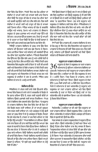 Punjabi bible 80)_old_testament