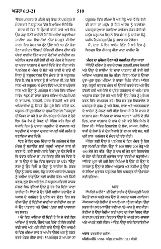 Punjabi bible 80)_old_testament