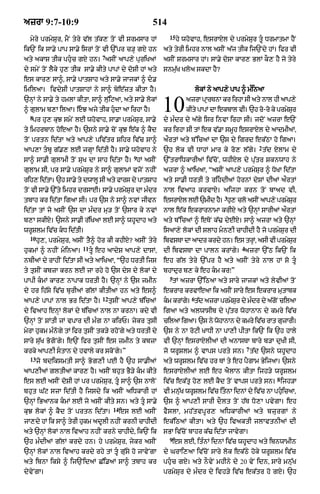 Punjabi bible 80)_old_testament