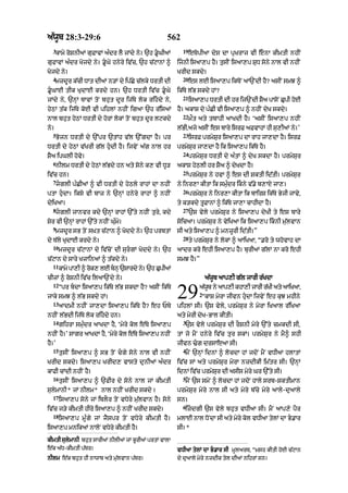 Punjabi bible 80)_old_testament