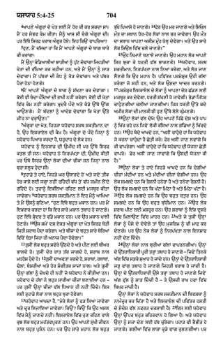 Punjabi bible 80)_old_testament