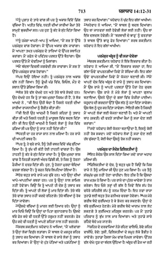 Punjabi bible 80)_old_testament