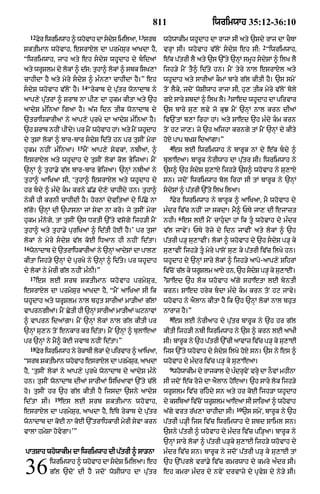 Punjabi bible 80)_old_testament