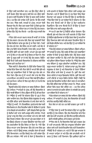 Punjabi bible 80)_old_testament