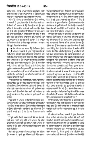 Punjabi bible 80)_old_testament