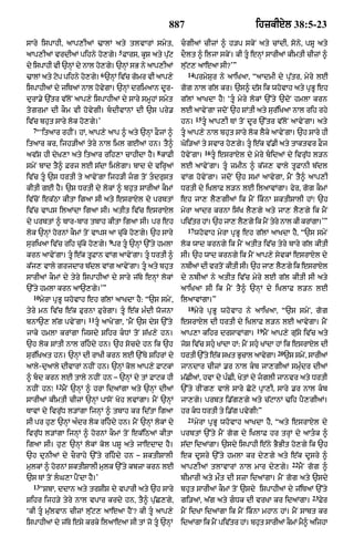 Punjabi bible 80)_old_testament