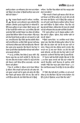 Punjabi bible 80)_old_testament