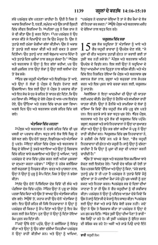Punjabi bible 90)_new_testament